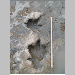 100_0786 (2009-27-07).JPG